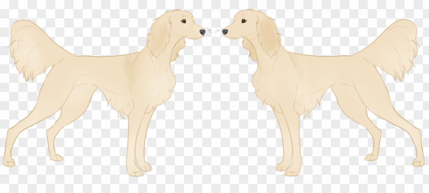 Fallings Angels Dog Breed Sporting Group Retriever Snout PNG