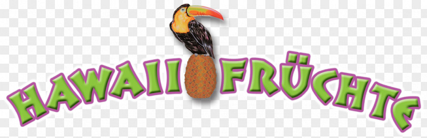 Hawaii Fiveo Logo Brand Beak Font PNG