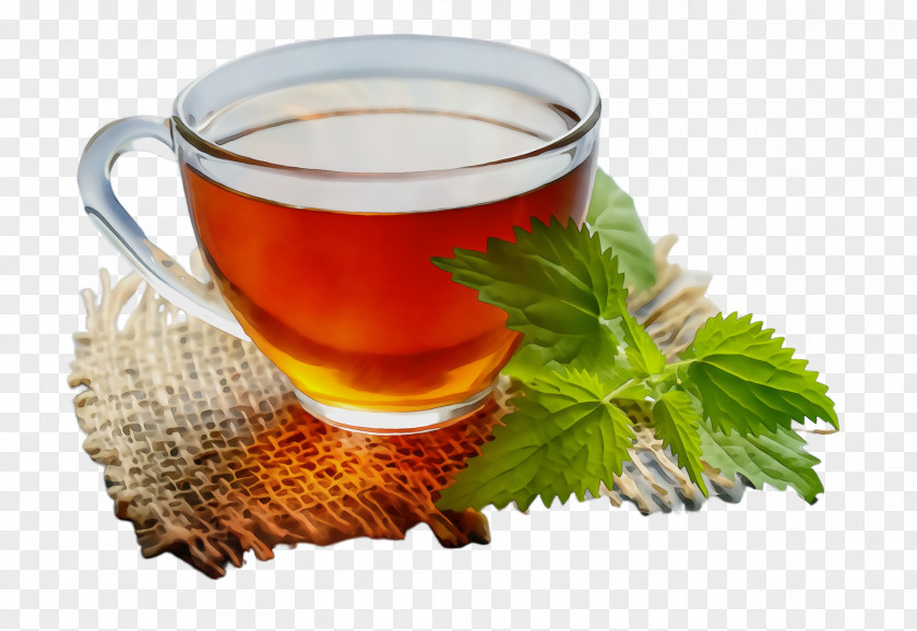Roasted Barley Tea Grog Chinese Herb Leaf Drink Food PNG