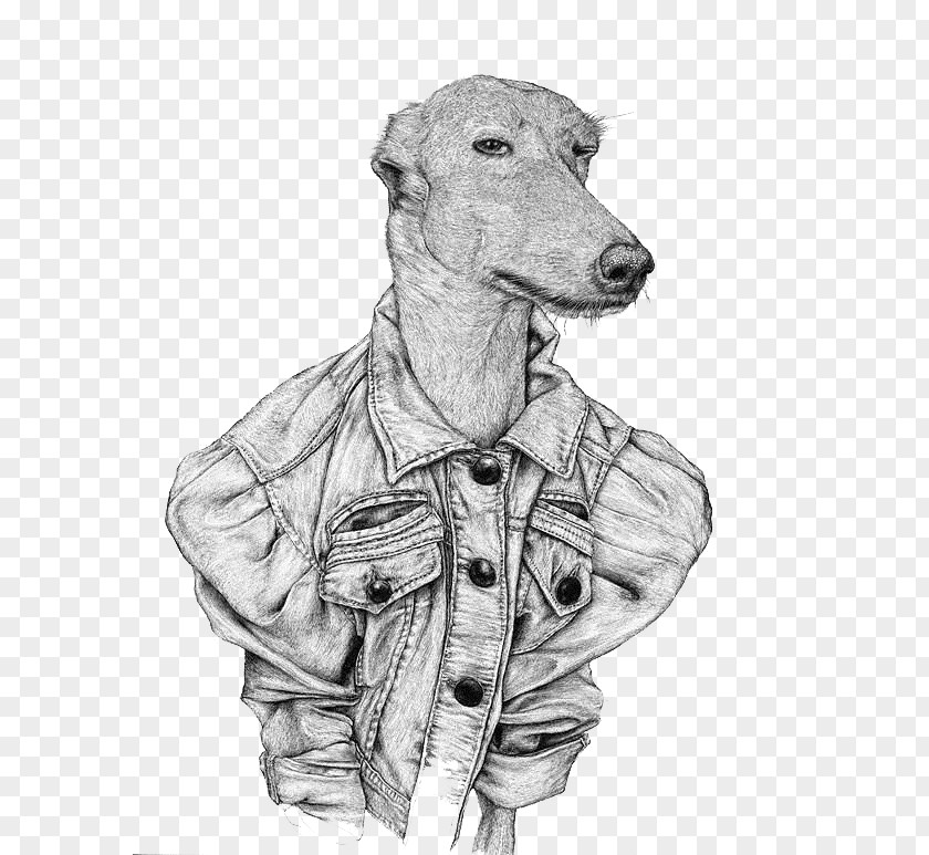 Sketch Illustrator Dog Character Drawing Art Creative Work Painting Illustration PNG