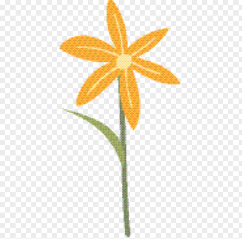 Wildflower Pedicel Plants Background PNG