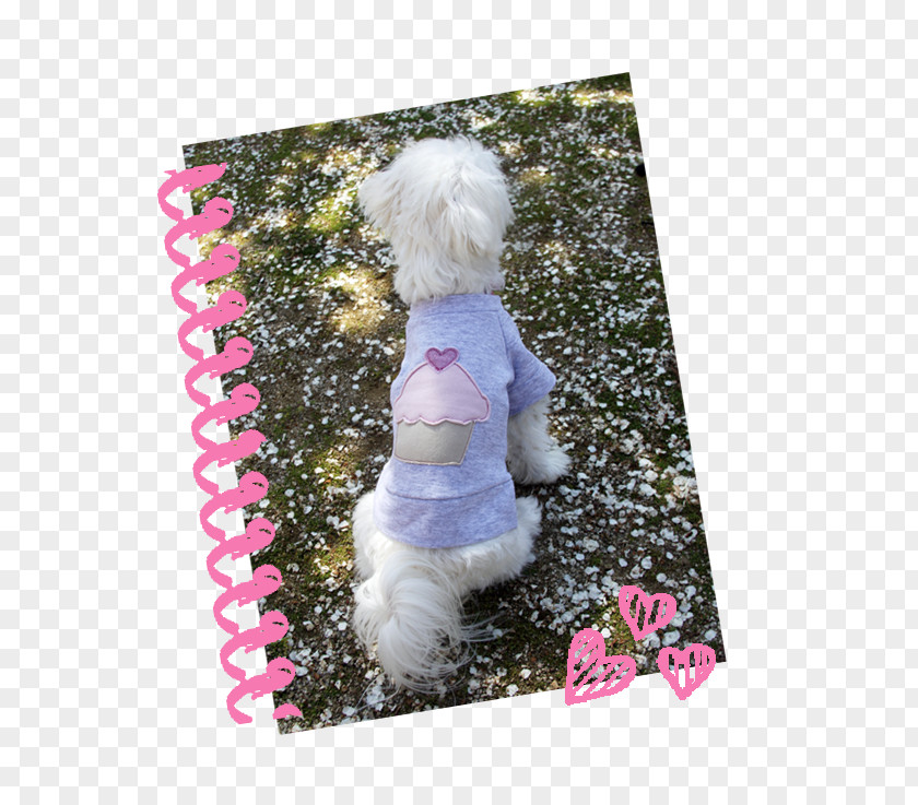 Definition Dog Pink M Clothing PNG