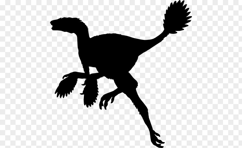 Dinosaur Vector Caudipteryx Gigantoraptor Magyarosaurus Dilong PNG