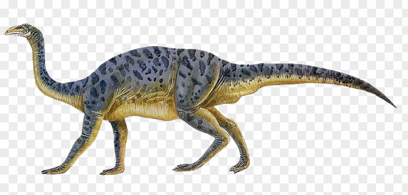 Dinotopia Plateosaurus Anchisaurus Velociraptor Sauropoda Dinosaur PNG