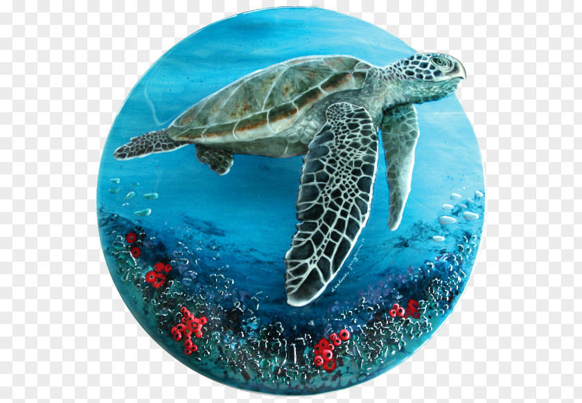 Turtle Loggerhead Sea Hawksbill Fused Glass PNG