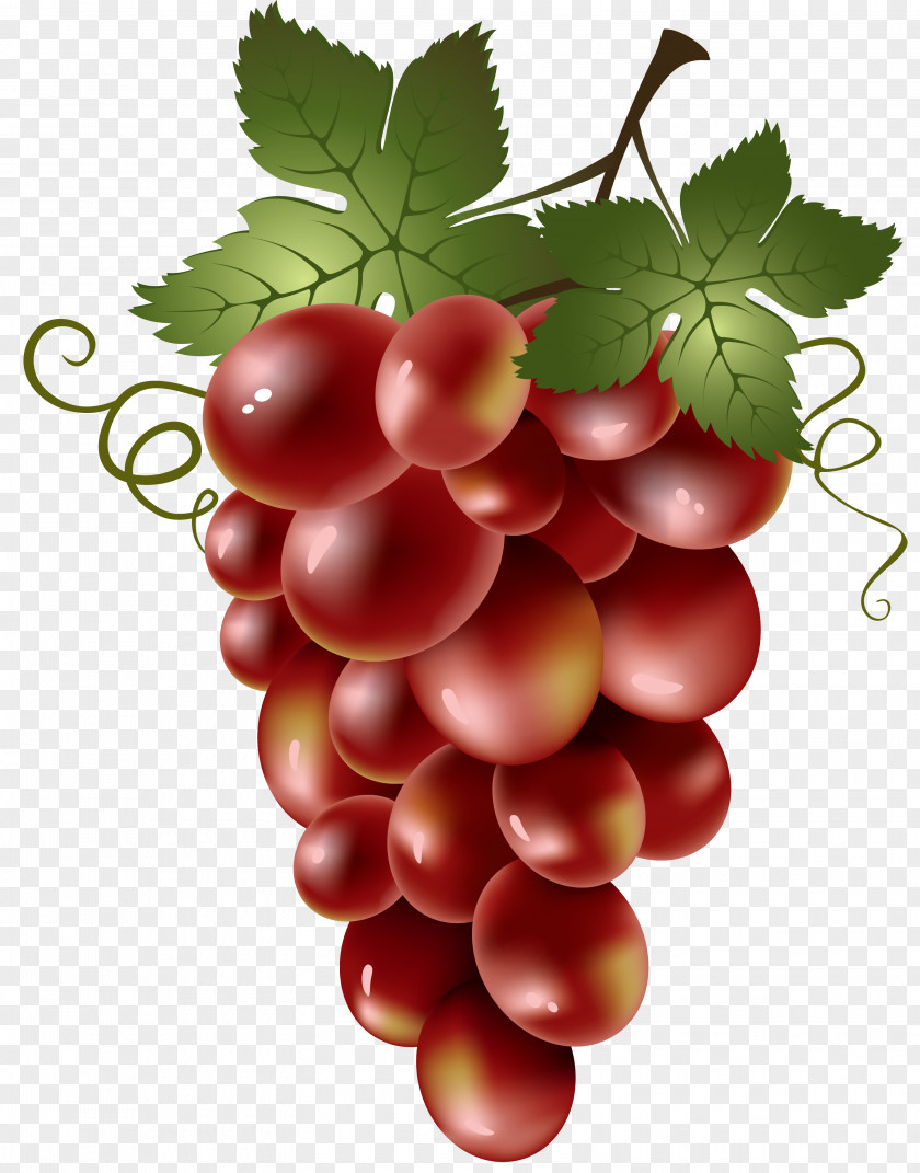A Bunch Of Grapes Red Wine Common Grape Vine Clip Art PNG