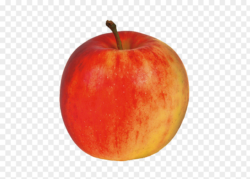 Apple McIntosh Red Jonagold Northern Spy Fruit PNG