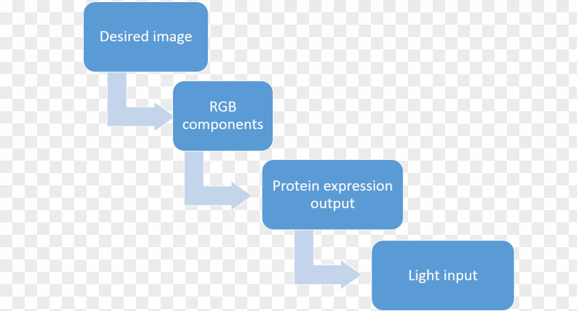 China Model Definition Science Business Organization Management PNG