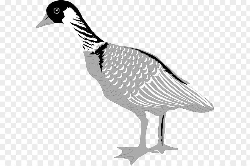 Goose Greylag Bird Cygnini Clip Art PNG