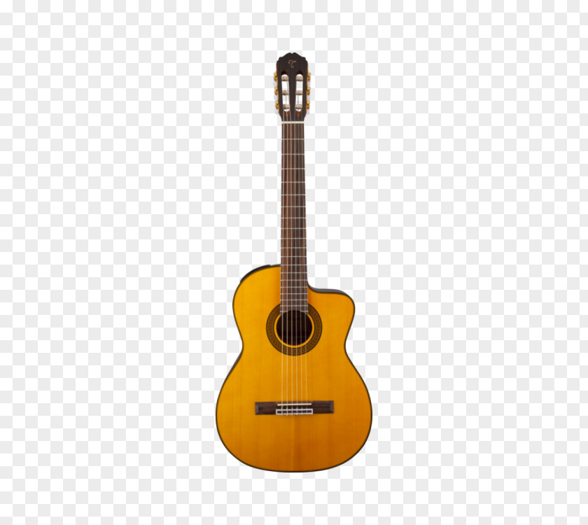 Guitar Classical Steel-string Acoustic Flamenco PNG