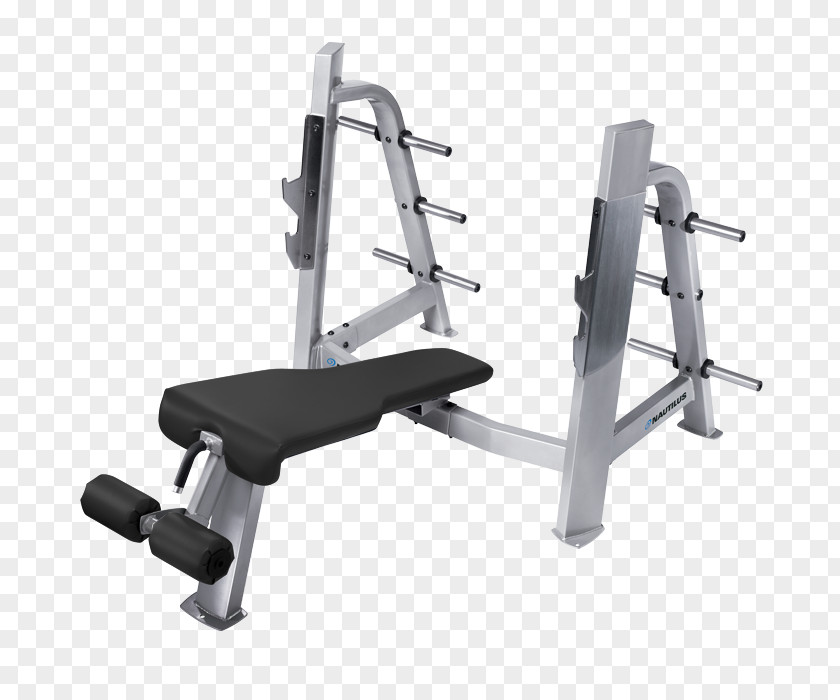 Gym Squats Bench Weight Training Nautilus, Inc. Power Rack Exercise Equipment PNG