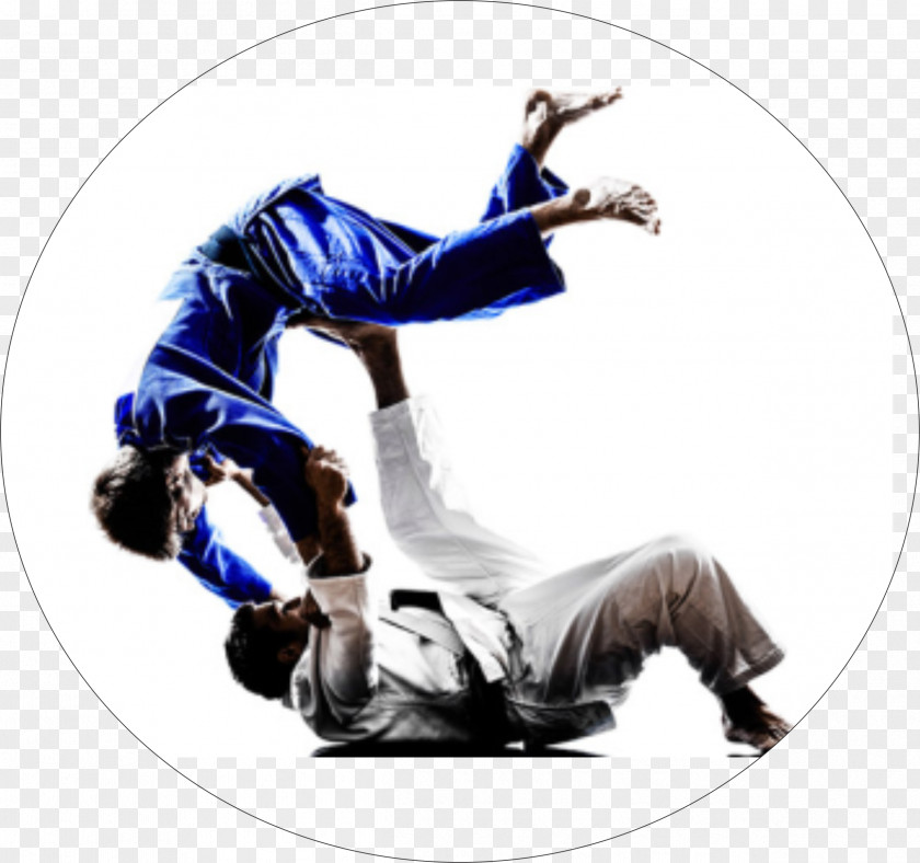 Jujutsu Activate Your Mind To Succeed: Action Changes Things Judo Brazilian Jiu-jitsu Martial Arts PNG