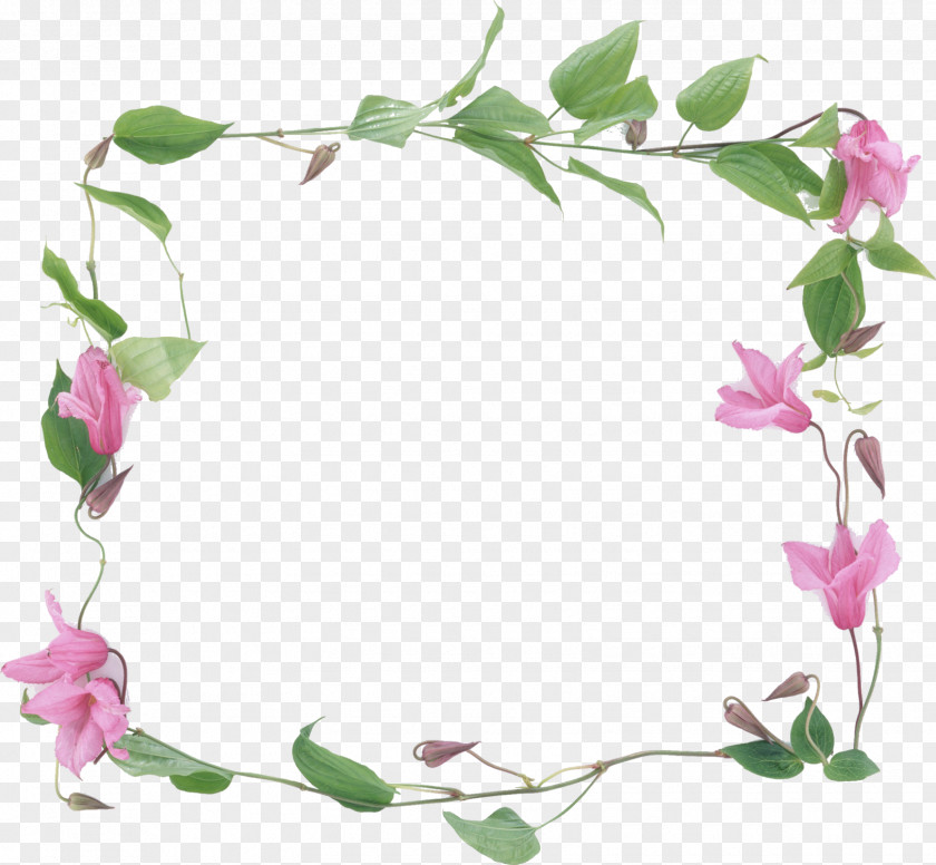 Simple Flower Frame Conte Tea Picture Frames Floral Design PNG