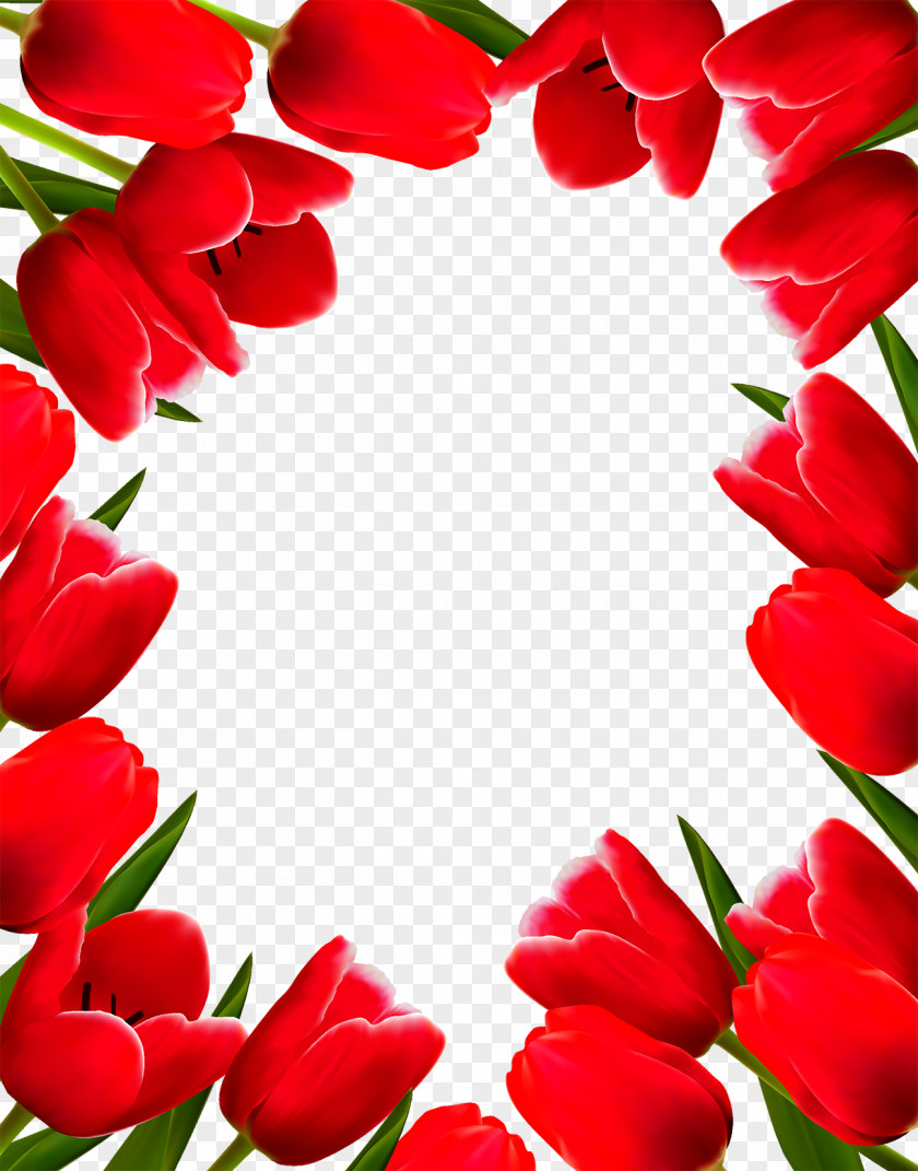 Tulip Border Flower Picture Frame Clip Art PNG