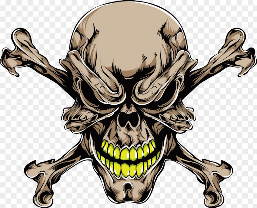 Vector Brown Skull Bones Prints Human Symbolism Tattoo PNG