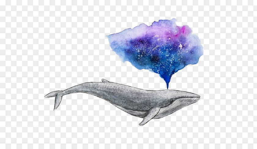 Water Whale Watercolor Painting Drawing Art PNG