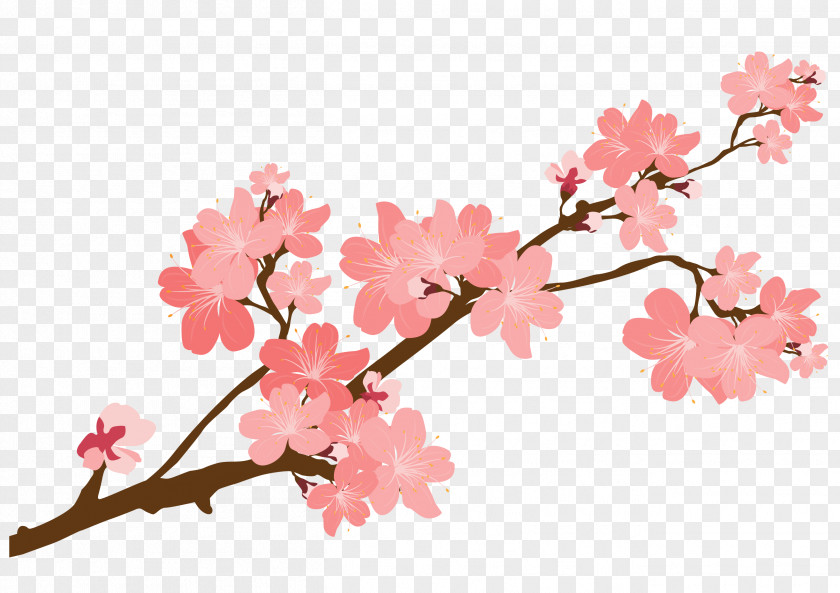 Cherry Flowers Blossom Sticker Clip Art PNG