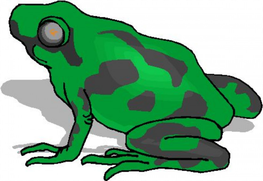 Frog True Amphibian Lithobates Clamitans Clip Art PNG