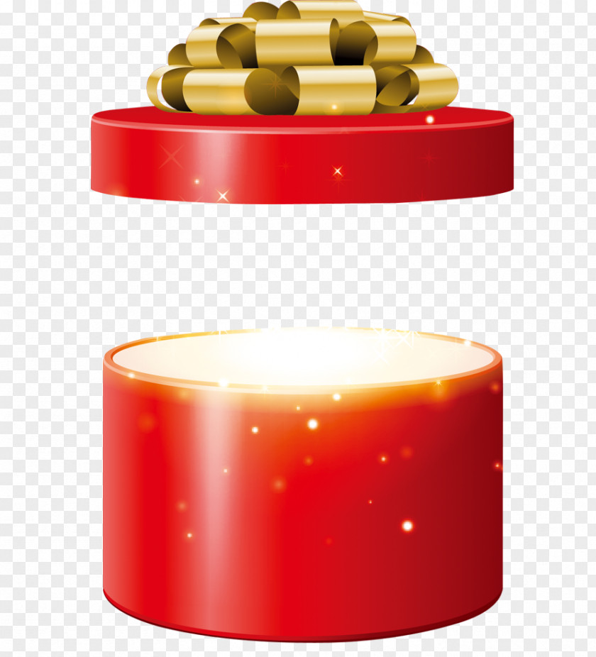 Gift Flowers Bitxi PNG