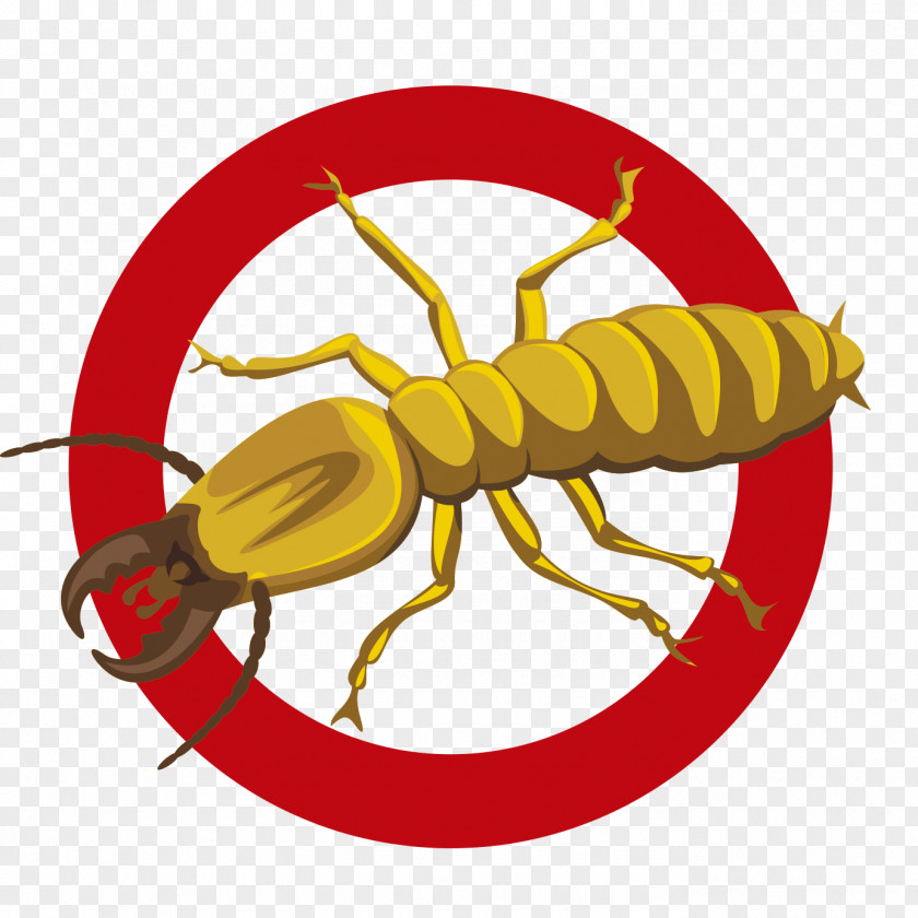 Insect Clip Art Pest Control Termite PNG