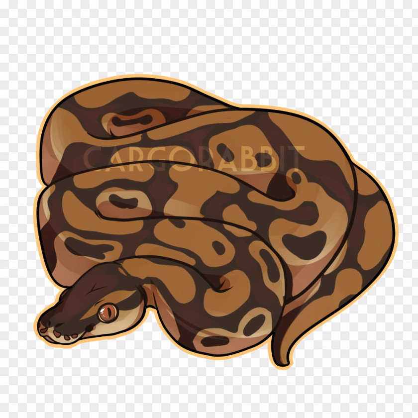 T-shirt Ball Python Snake Boa Constrictor Hoodie PNG