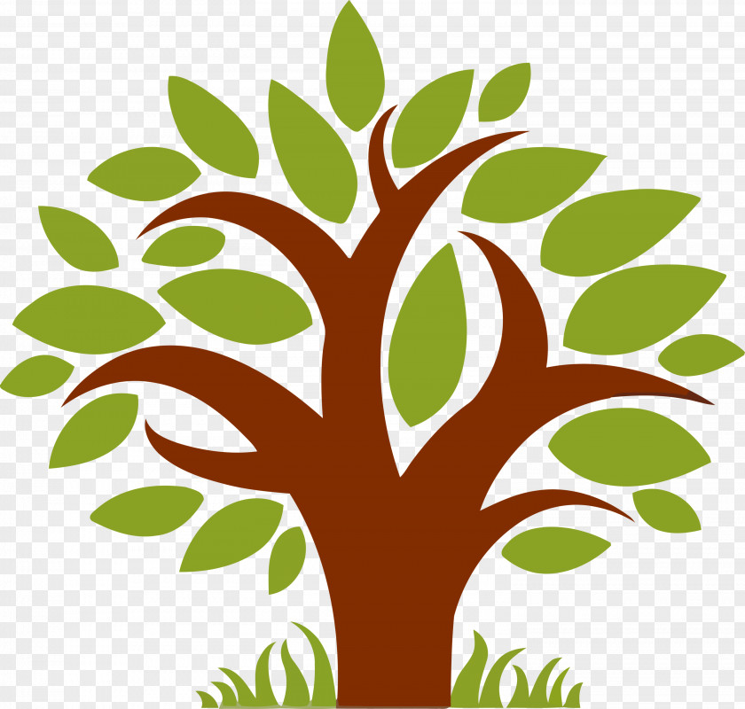 Tree Leaf Green Plant Woody PNG