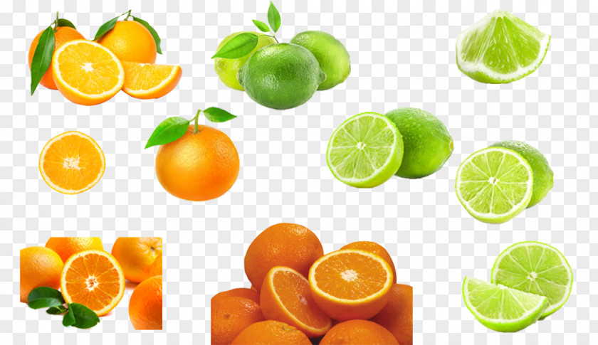 Vector Lemon Orange Fruit Clementine Mandarin Lime PNG