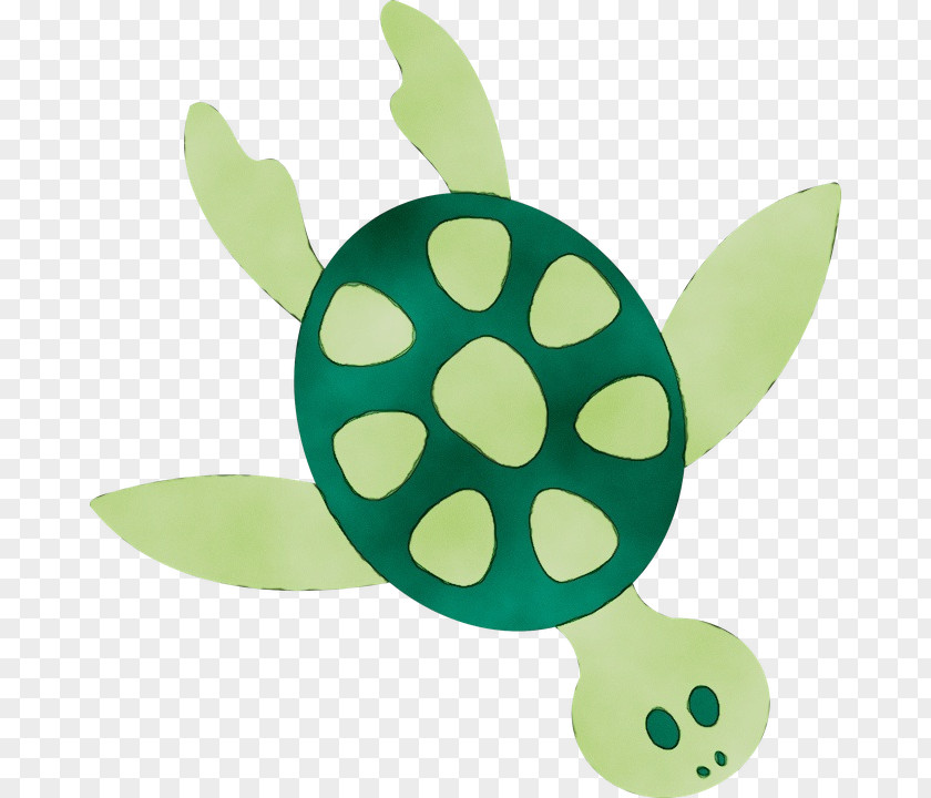 Baby Toys Plant PNG