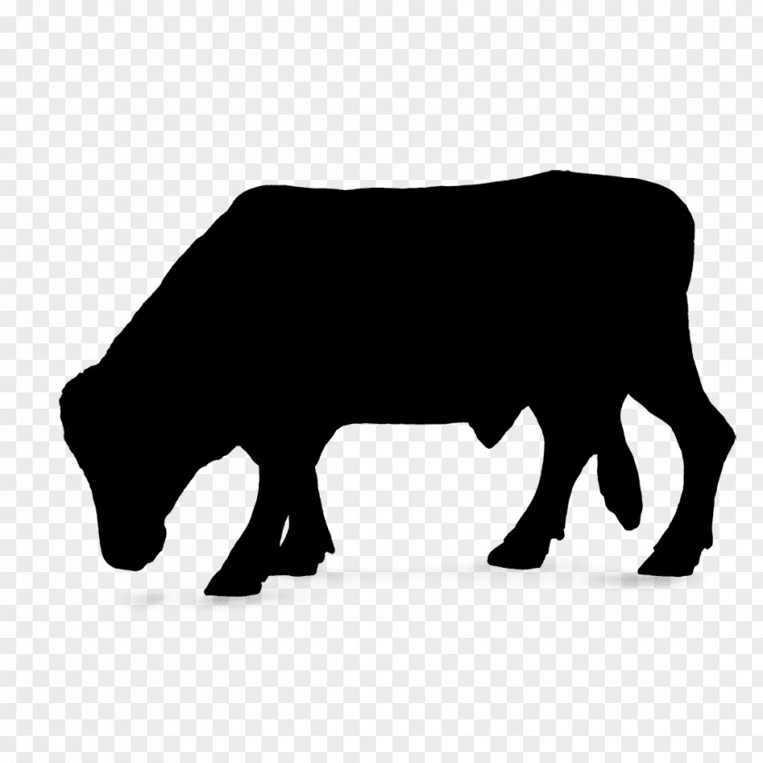 Cattle Silhouette Font Snout Black M PNG
