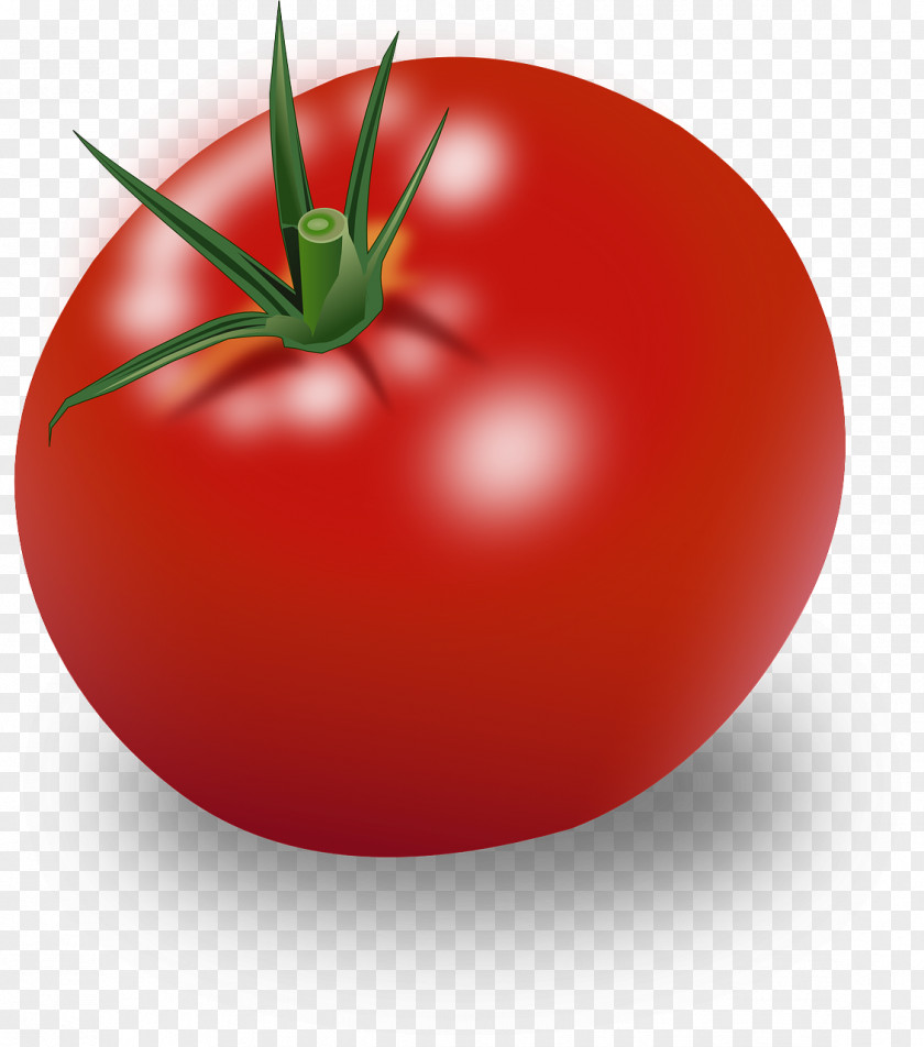 Tomato Cherry Clip Art PNG