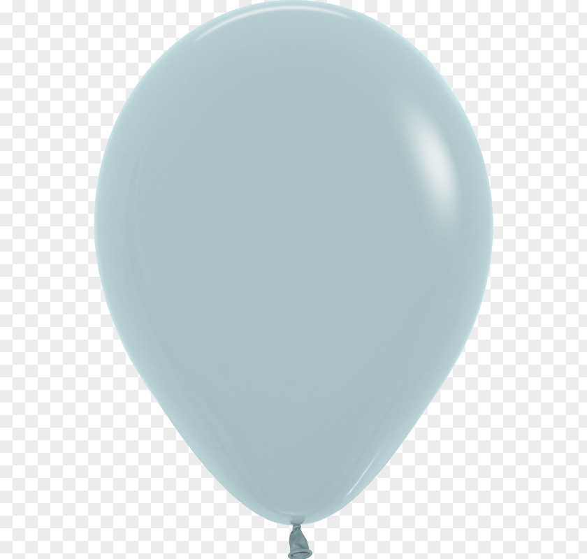 Balloon Toy Party Modelling Color PNG