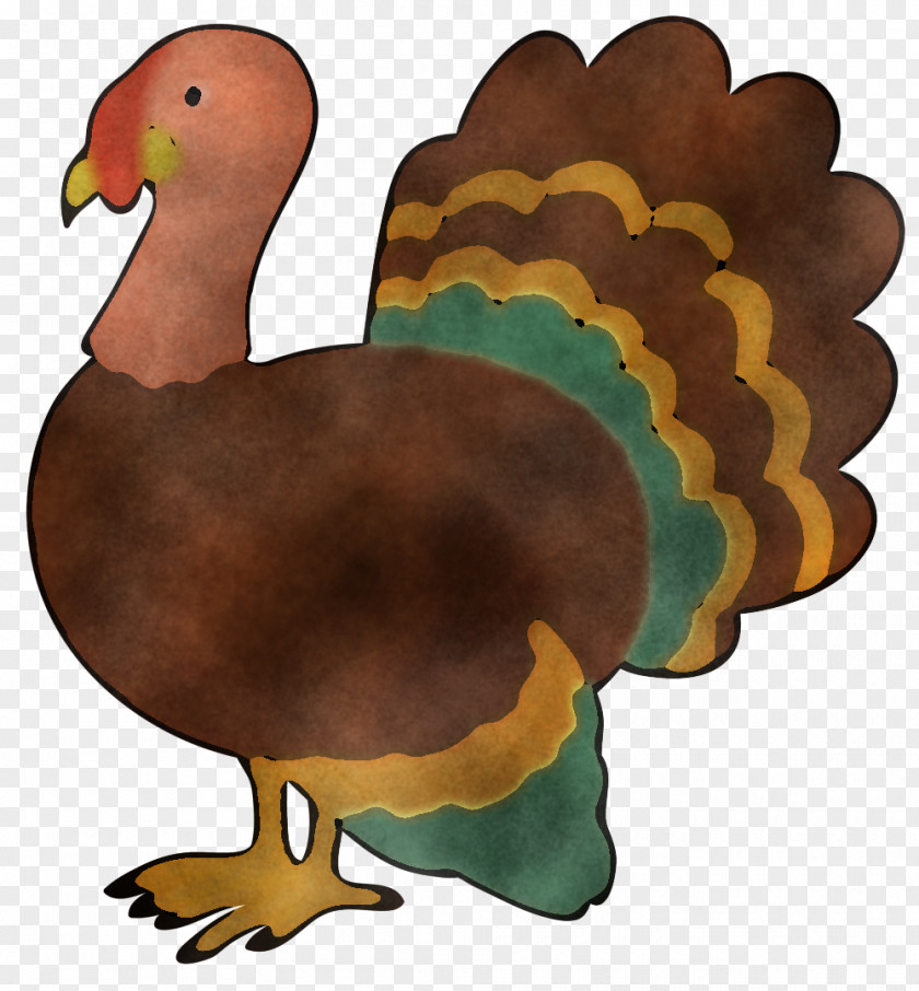 Landfowl Duck Birds Fowl Cartoon PNG