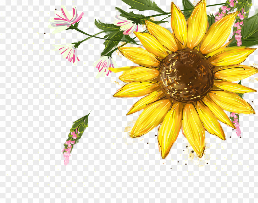 Sunflower Flower PNG