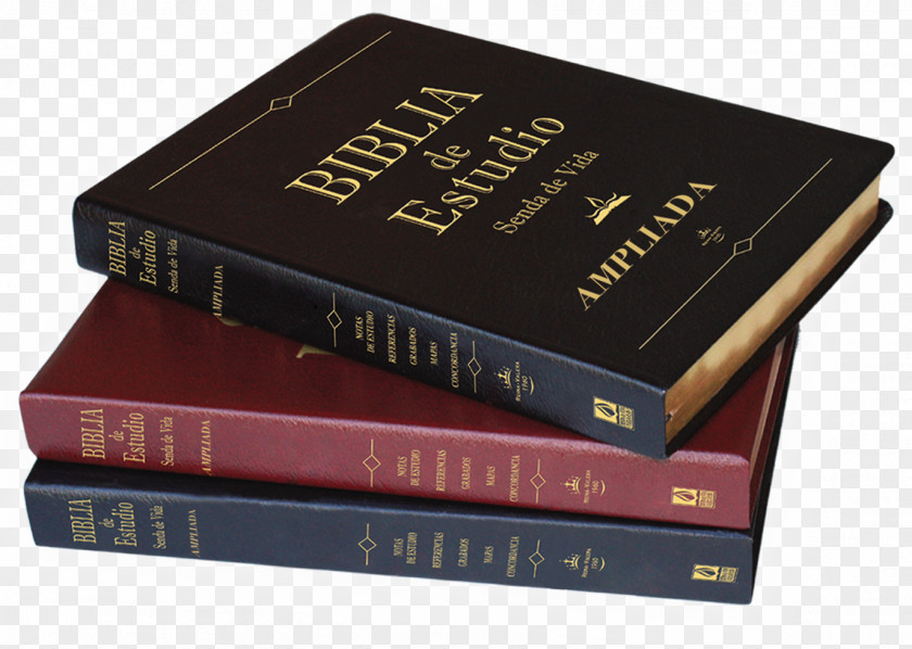 80 20 Catholic Bible Reina-Valera Book Biblical Studies PNG