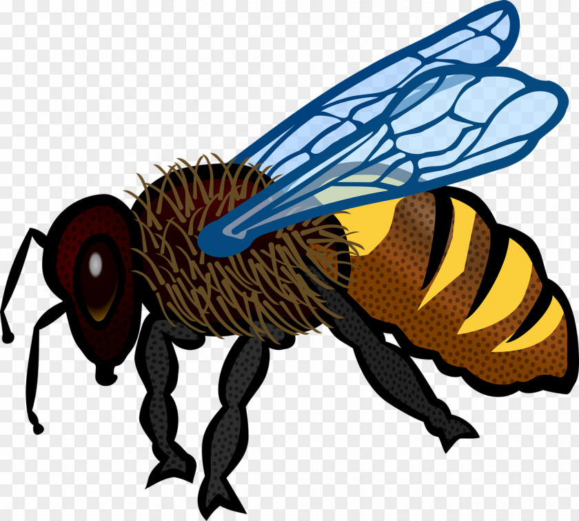 Bee Coloring Book Clip Art Image PNG
