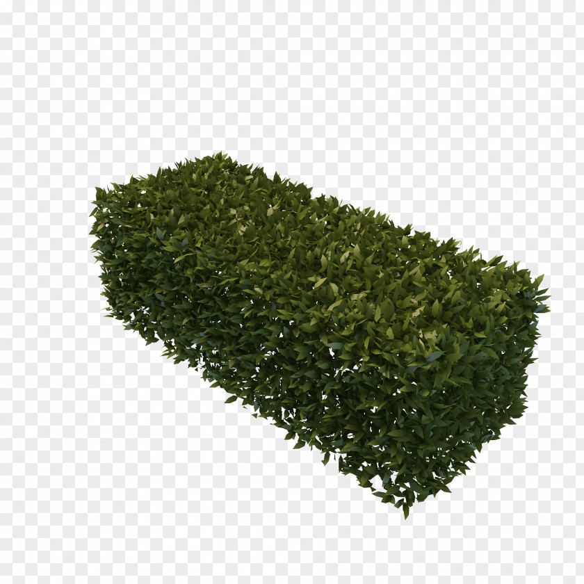 Best Free Hedges Image Hedge 3D Modeling Fence Box PNG