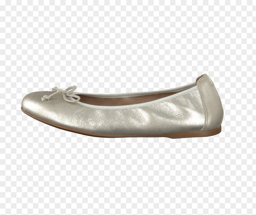 Boot Ballet Flat Shoe Walking Female PNG
