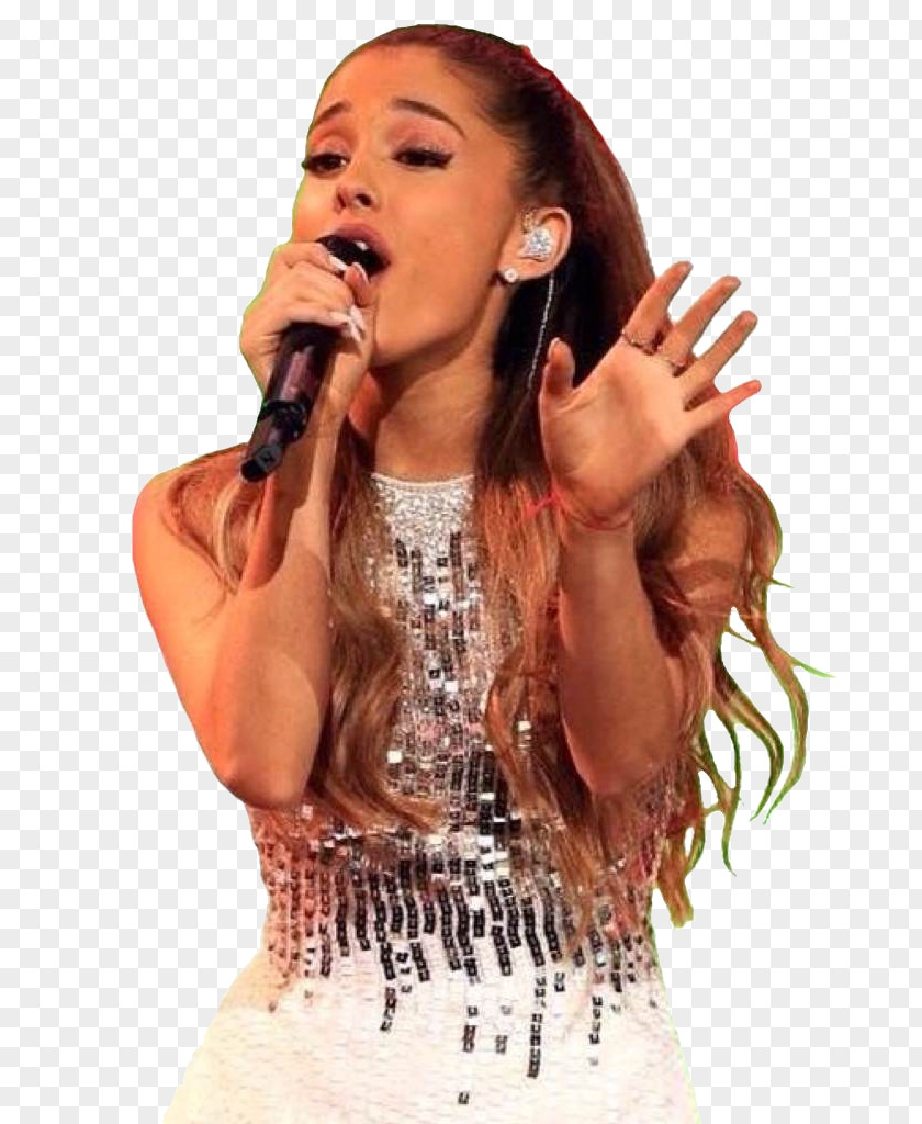 Selfie Ariana Grande A Very Grammy Christmas Special Celebrity Singer-songwriter PNG
