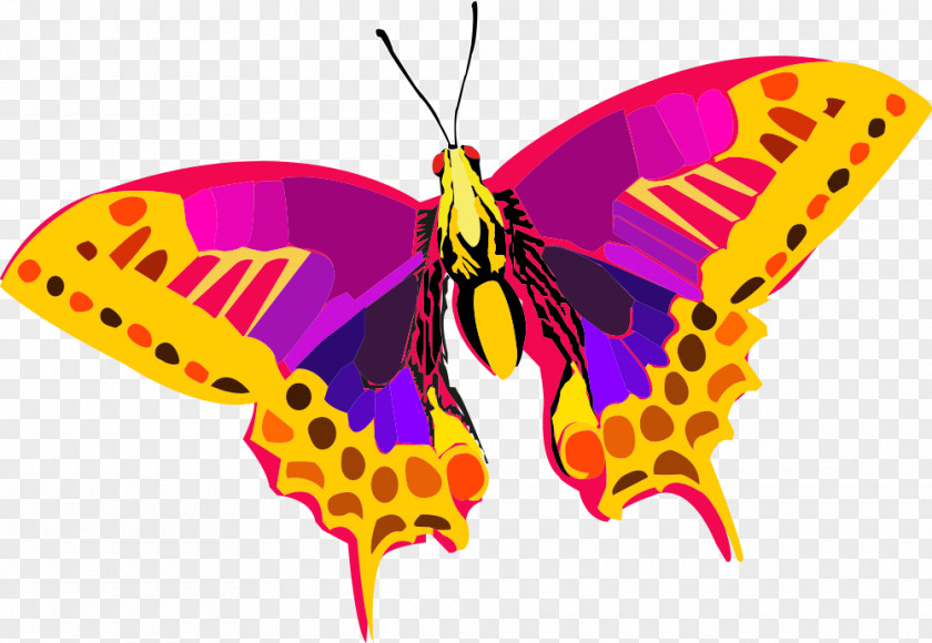 Abstract Colorful Butterfly Clip Art PNG