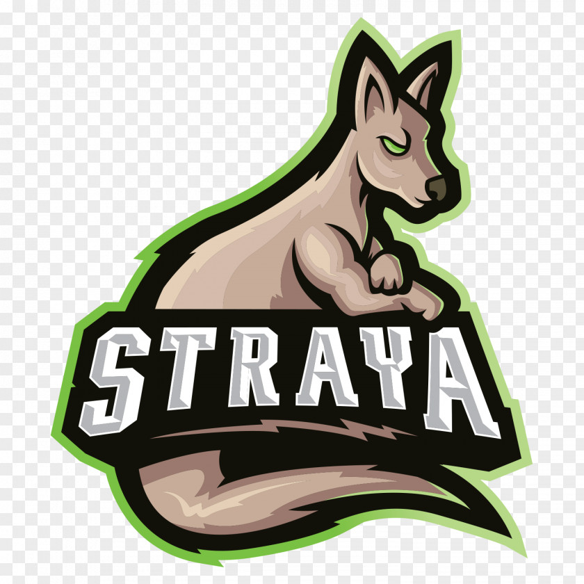 Australia ARMA 3 Video Game Logo Player PNG