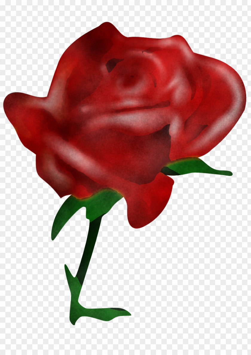 Garden Roses PNG