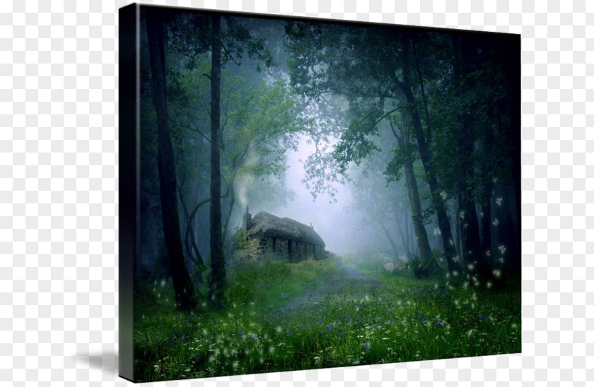 House Cottage Room Nature Person PNG