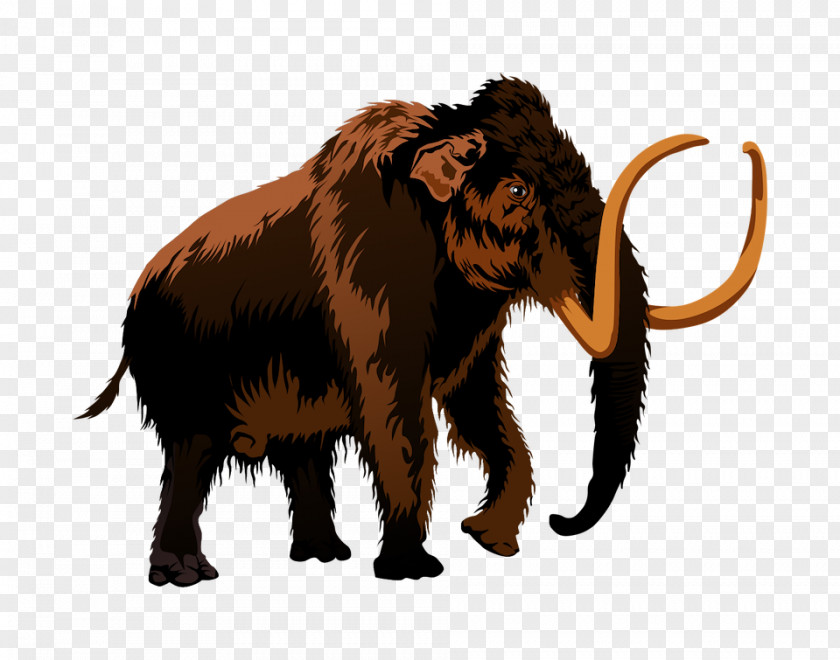 Mammoth African Elephant Indian Woolly Clip Art PNG