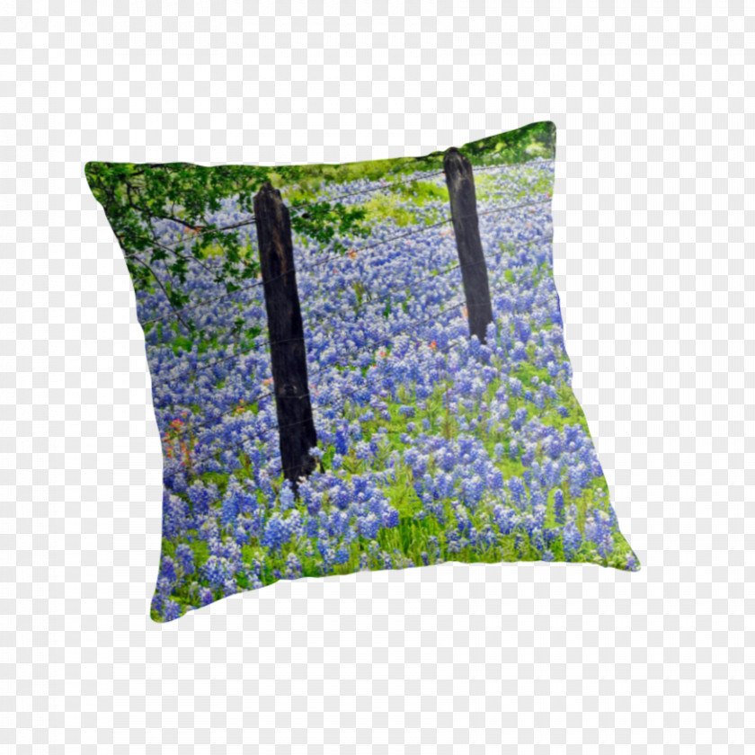 Pillow Cushion Throw Pillows PNG