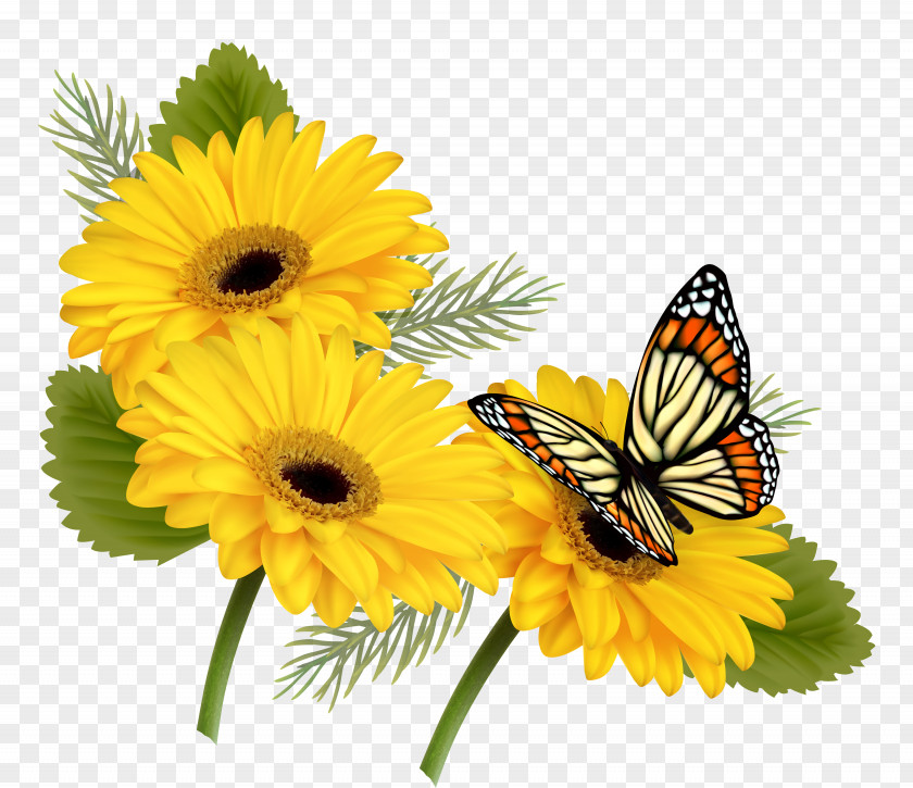 Sunflower Butterfly Flower Yellow Clip Art PNG