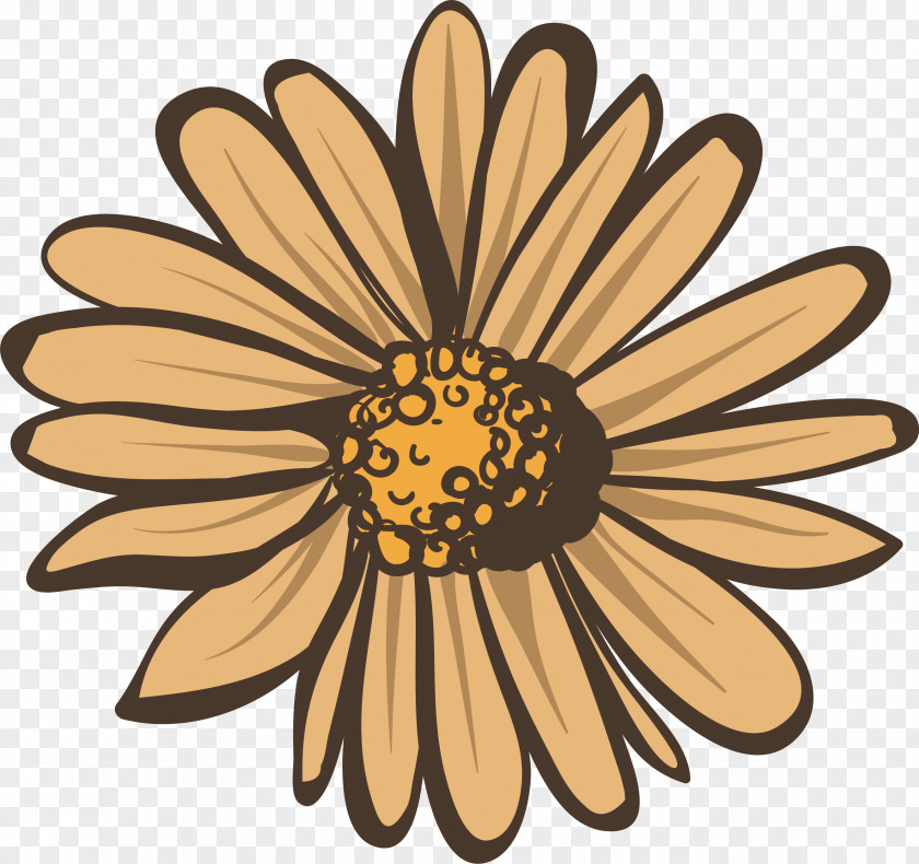 Beige Autumn Daisy White Clip Art PNG