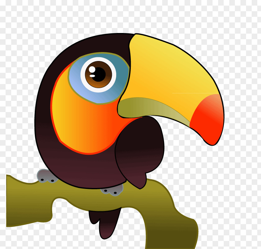 Bird Toco Toucan Clip Art PNG