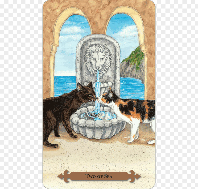 Cat French Tarot Des Chats Mystiques Mysticism PNG