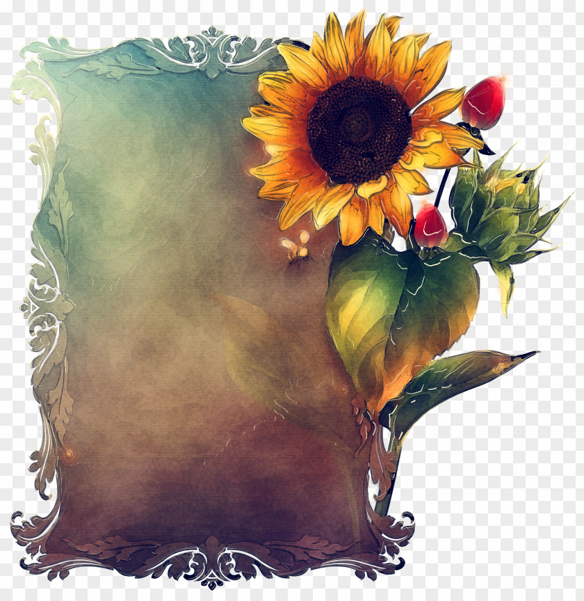 Daisy Family Petal Floral Design PNG