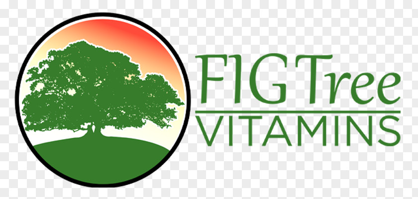 Fig Tree Health Human Behavior Logo Brand PNG
